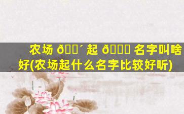 农场 🐴 起 🐞 名字叫啥好(农场起什么名字比较好听)